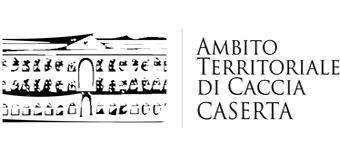 ATC Caserta